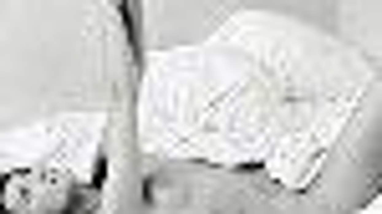 French First Lady Carla Bruni-Sarkozy's Nude Photo Up for Auction