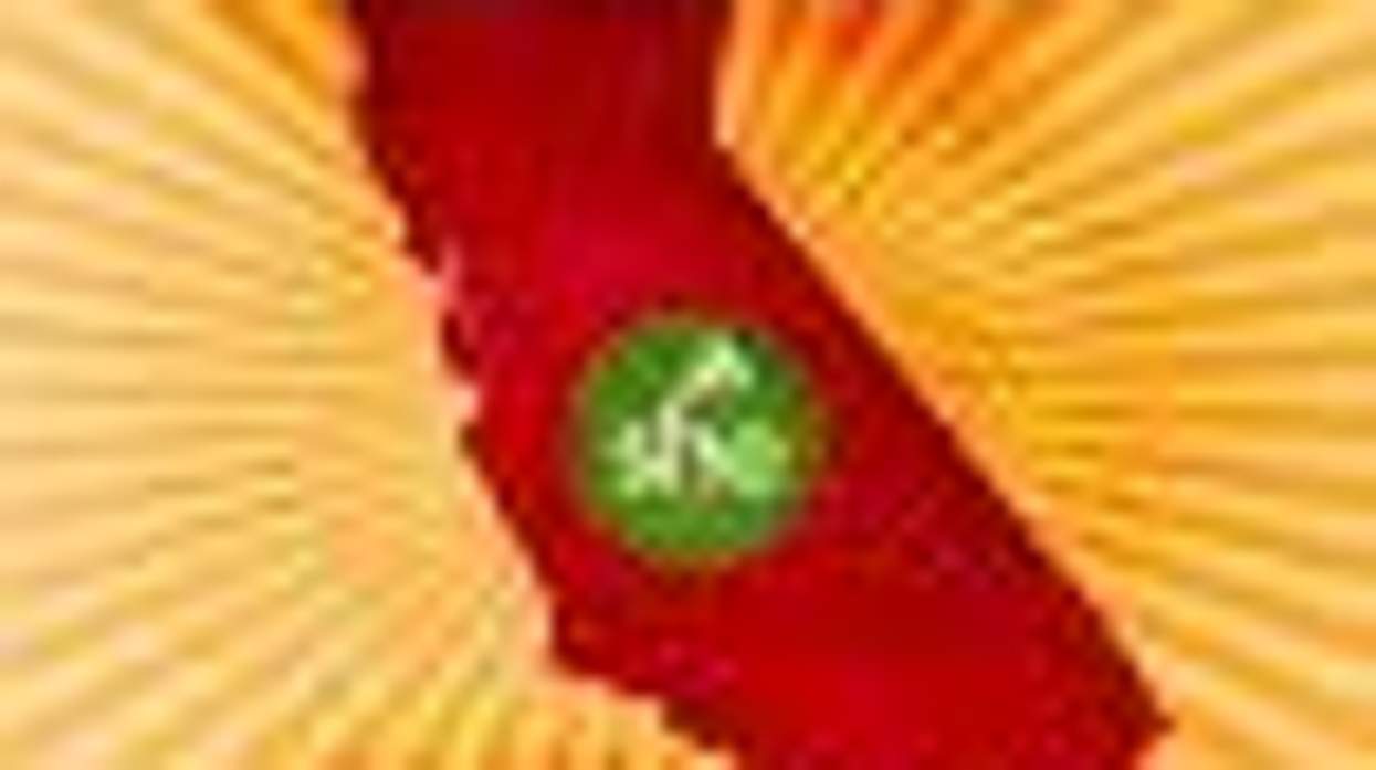Protest Prop 8 with SheWired: Live Streaming Today from Meet in the Middle!