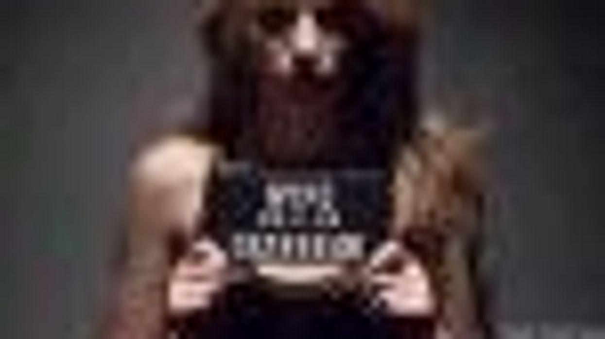 Where the Girls Are on TV: Blake Lively, Amy Poehler, Rashida Jones