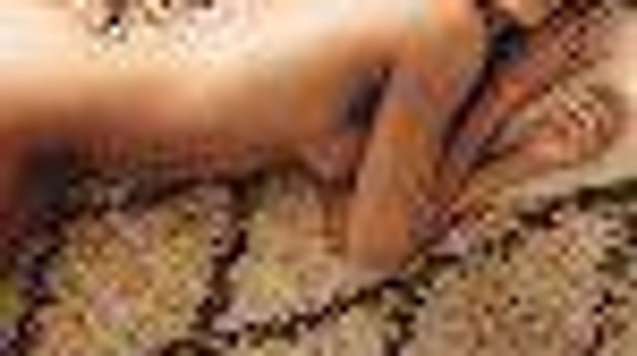 Padma Lakshmi and Eliza Dushku In The Buff