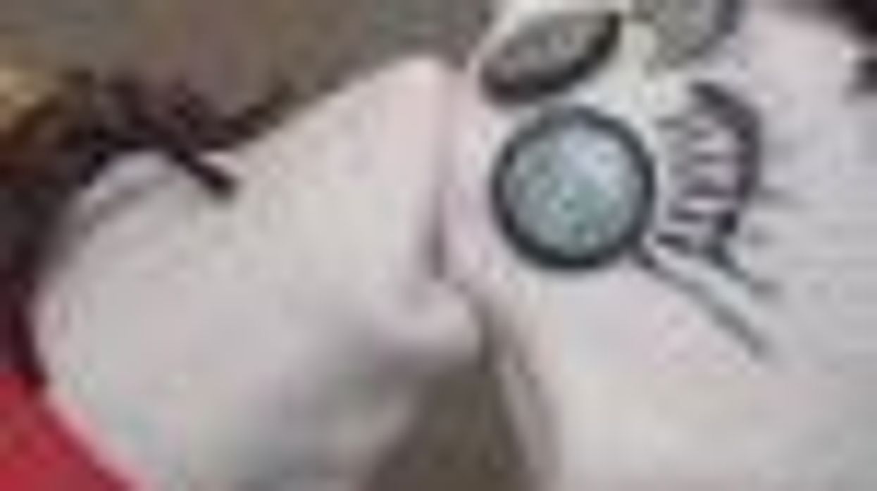 Jill Bennett's 'The Violet Underground' L Word Sock Puppets Video: #11.2