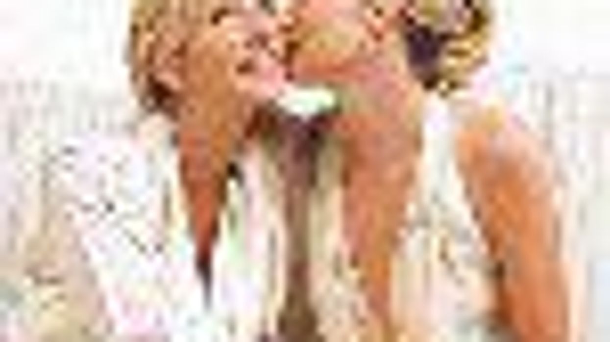 Lez Talk: In Praise of the Lesbian Cougar