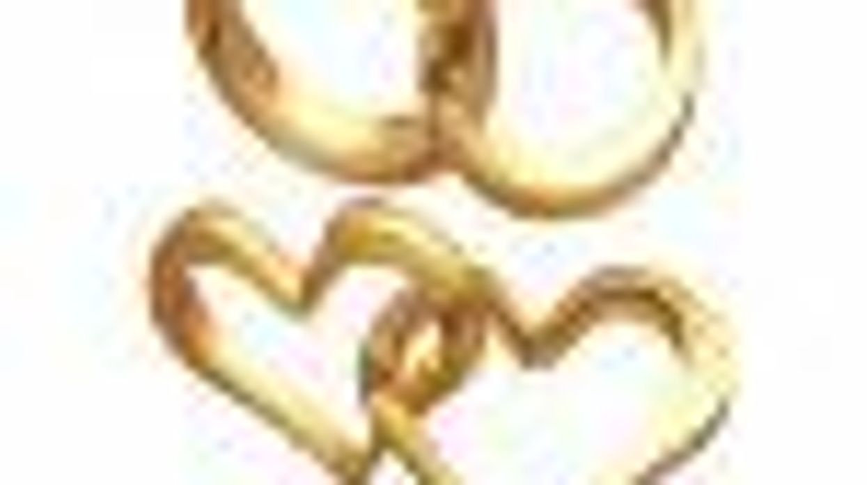 Congress Members from 15 States Say 'Yes I Do!' to Gay Marriage