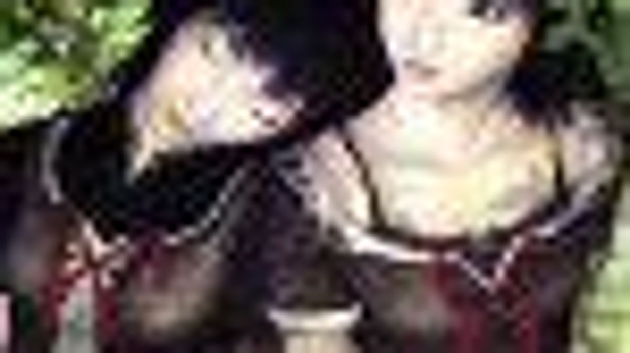 A Virtual Lesbian Life: Halloween Horror