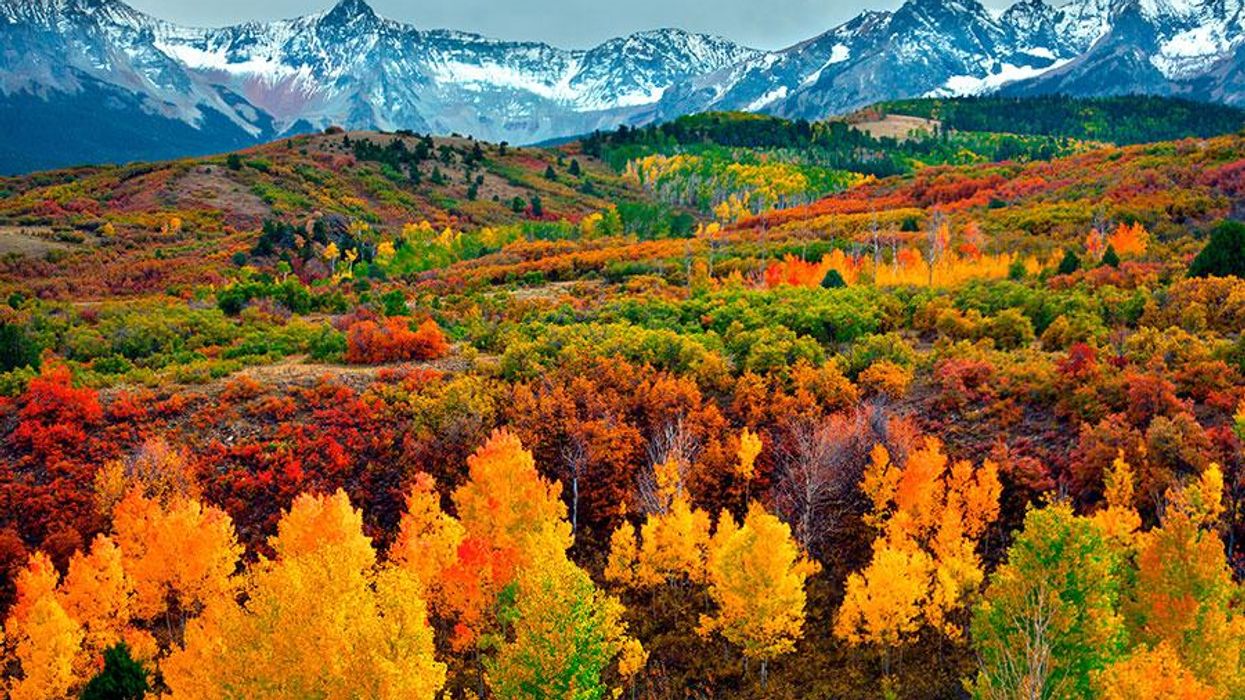 7 Things That Make Spring Break in Telluride Legit