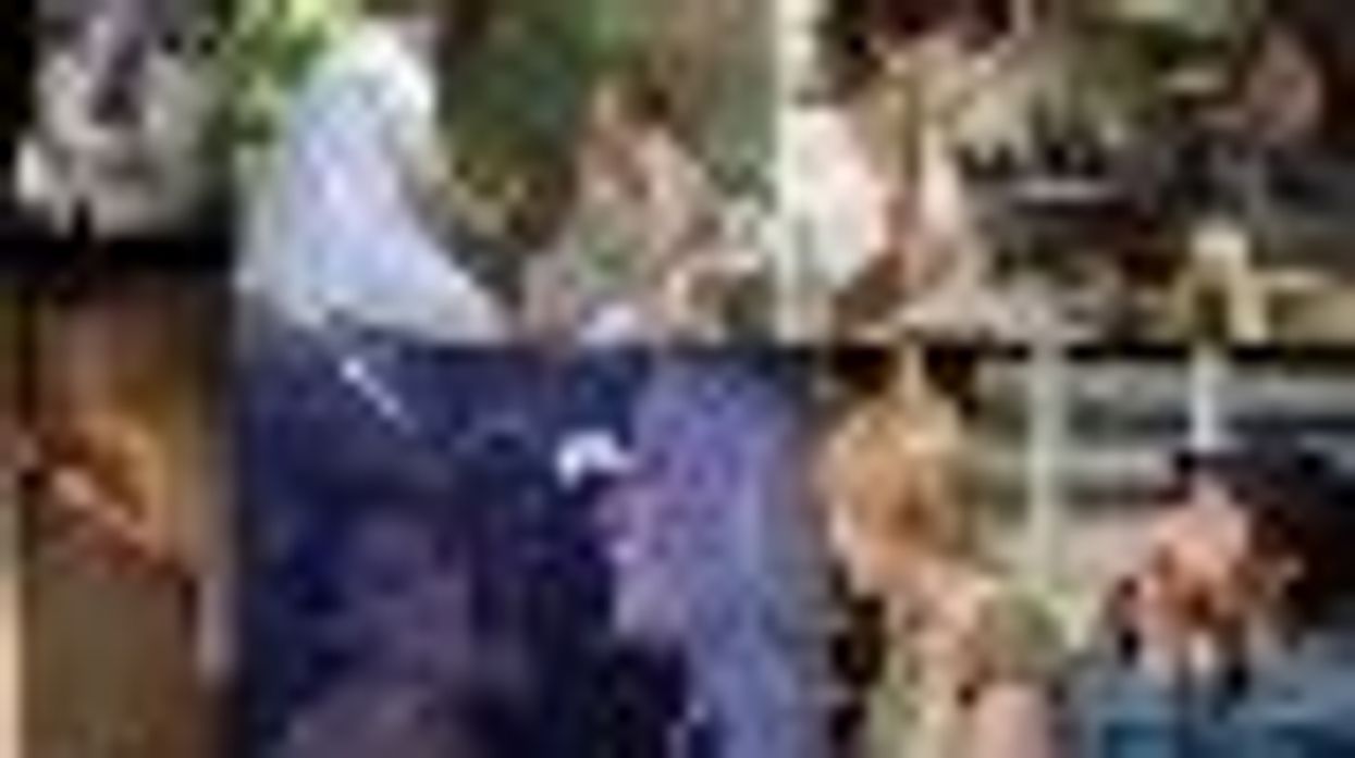 Reeling 29: The Chicago Lesbian and Gay Film Fest, Reviews: 'Our Gender Identities' and 'Across Lesbian Borders'