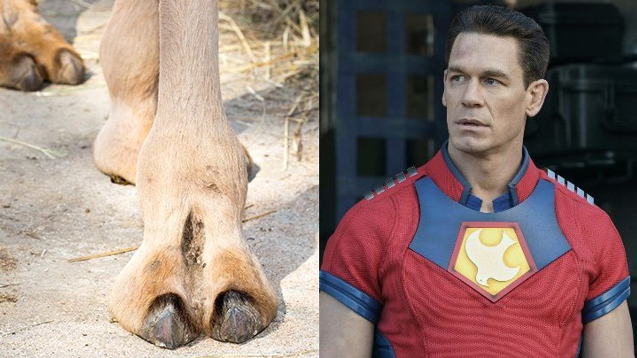 Visible camel toe has 'Peacemaker' fans spiraling, the controversy explained