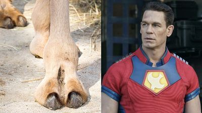 Visible camel toe has 'Peacemaker' fans spiraling, the controversy explained