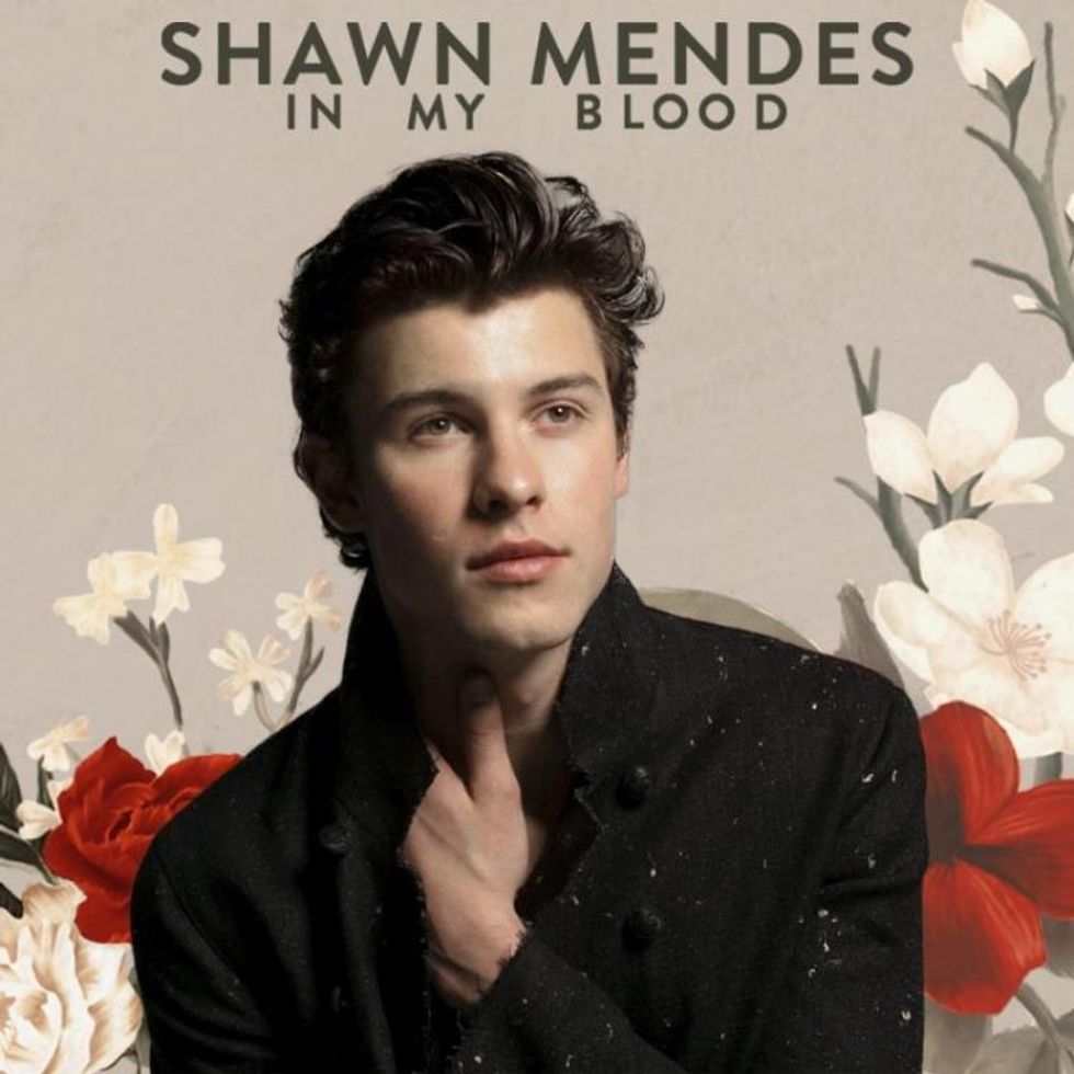 in-my-blood-shawn-mendes
