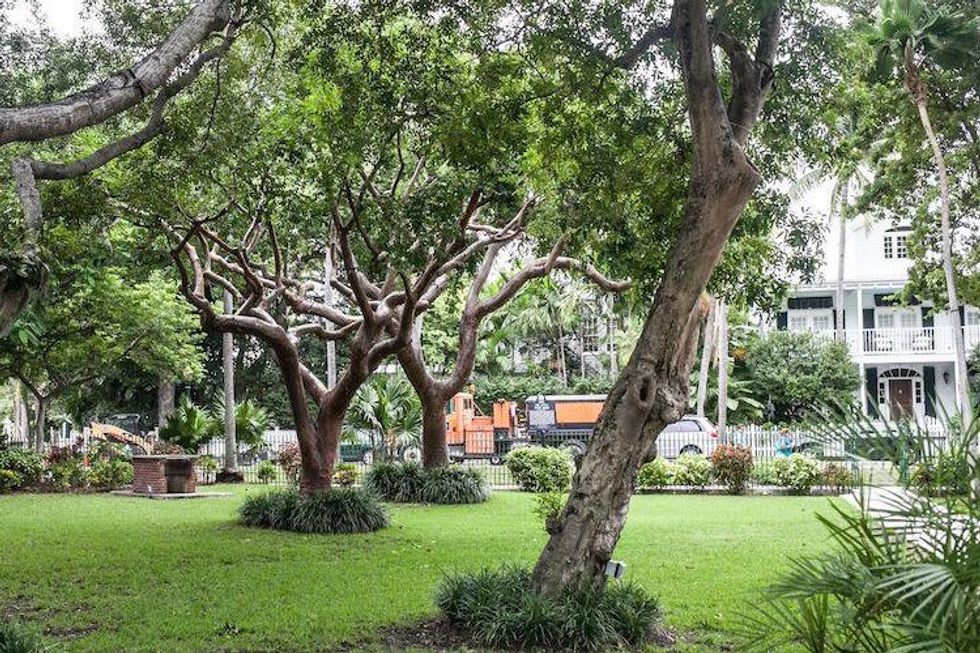 Key West Garden Club