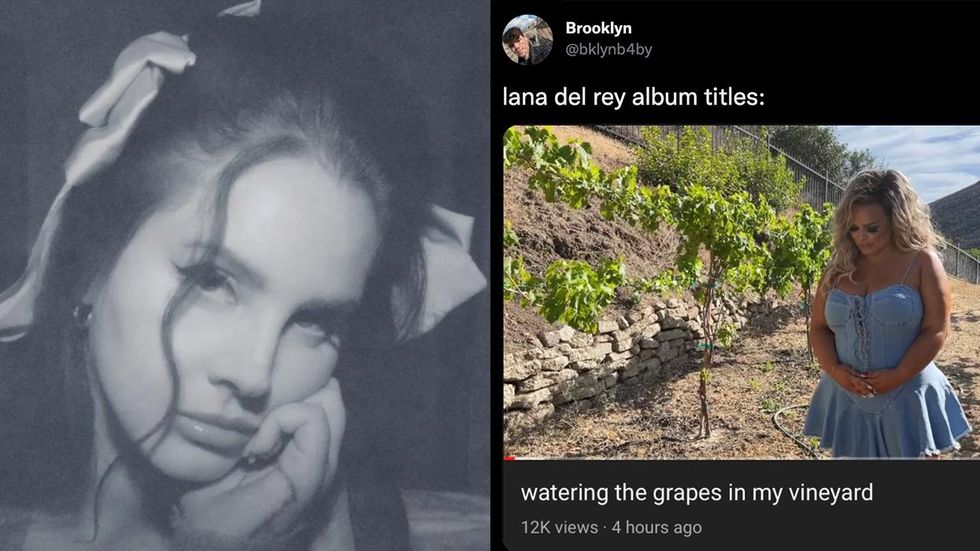 So I let a text generator predict the name of the next albums of Lana :  r/lanadelrey