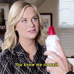 leslie knope
