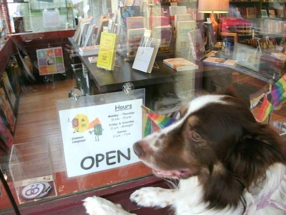 lgbt bookstores