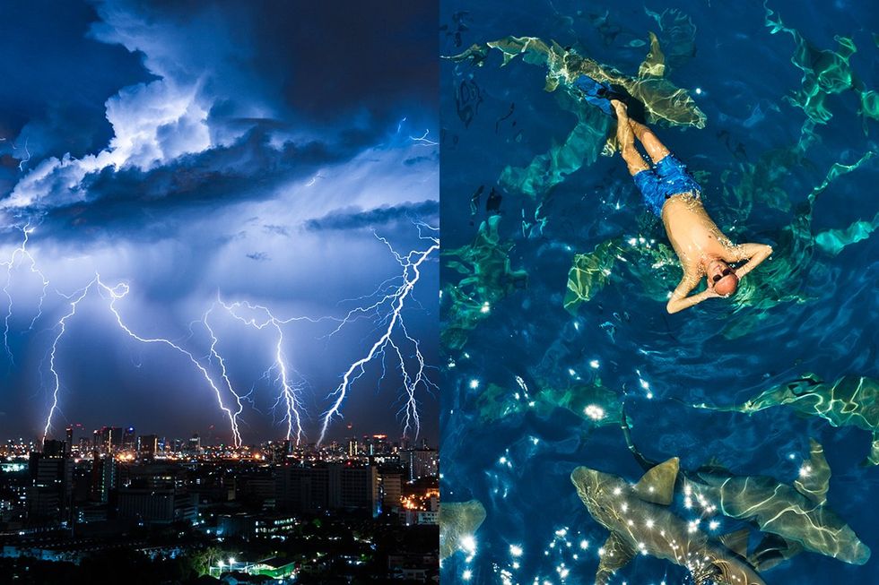 lightning storm swimming sharks photo gallery ChicFilA streaming show pitches