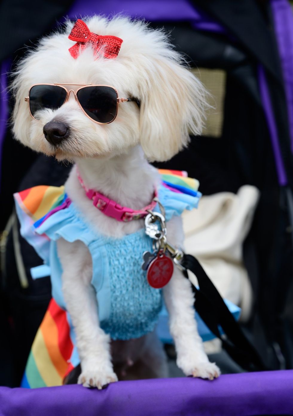 Long Beach CA 2025 pride parade and festival