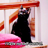 no self control cat