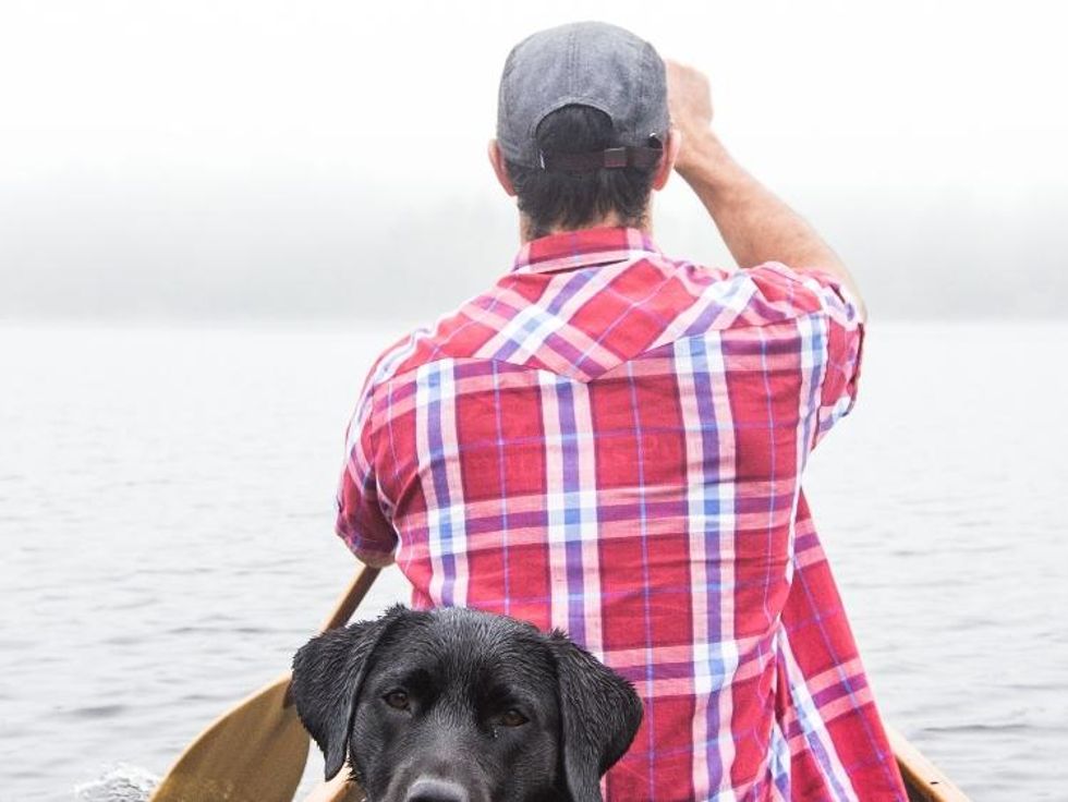 not_knowing_where_to_turn