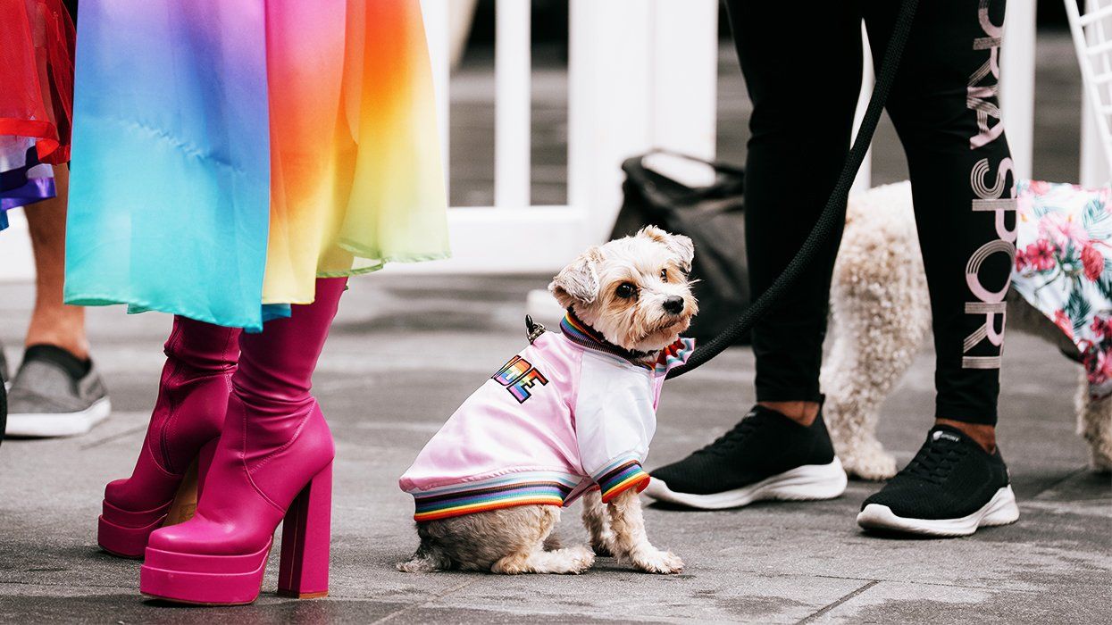 NYC Woof Fest Paws for Pride 2025 drag queens and rainbow dogs LGBTQIA pride celebration
