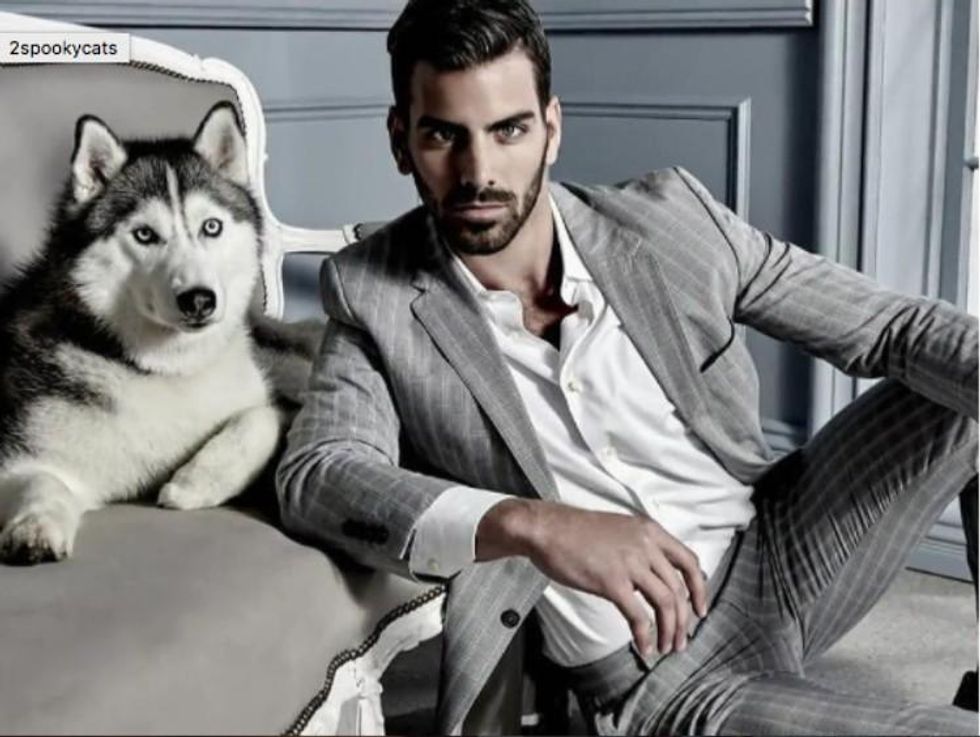 nyle-dimarco-instagram-dogs
