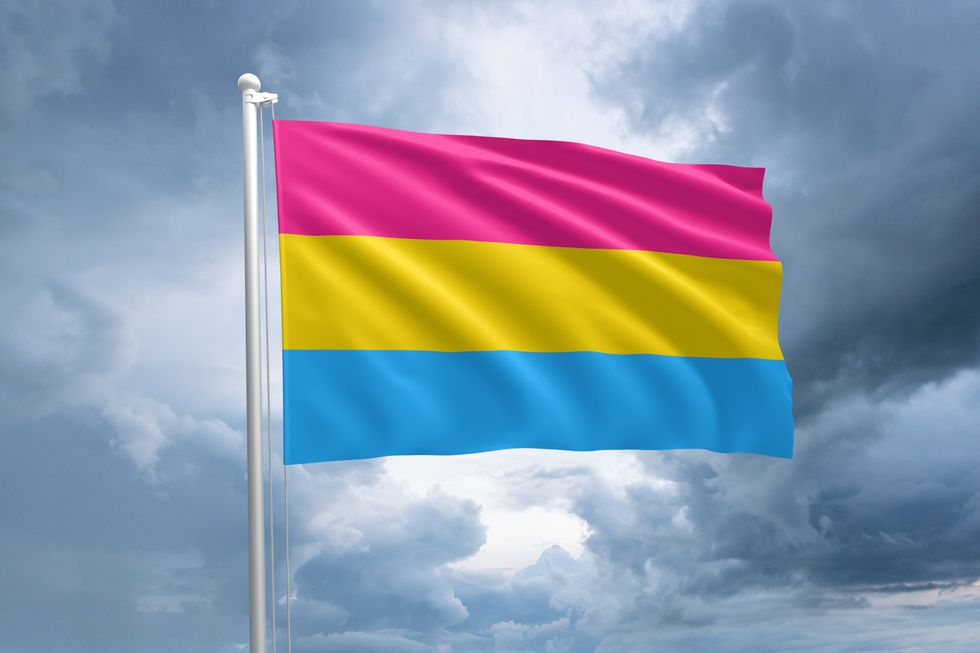 pansexual flag