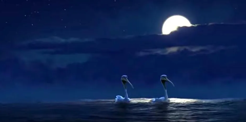 pelicans finding nemo