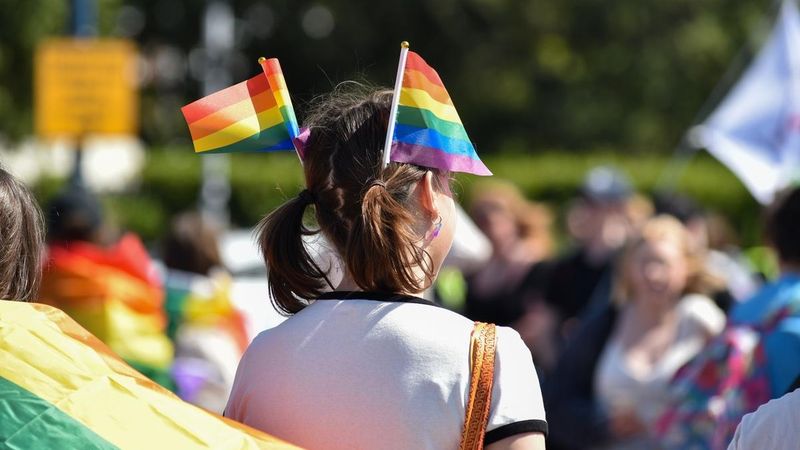 person with rainbow flags in hair