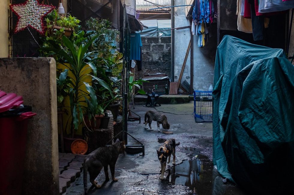 Photo Essay Filipino Drag Elder by Shirin Bhandari