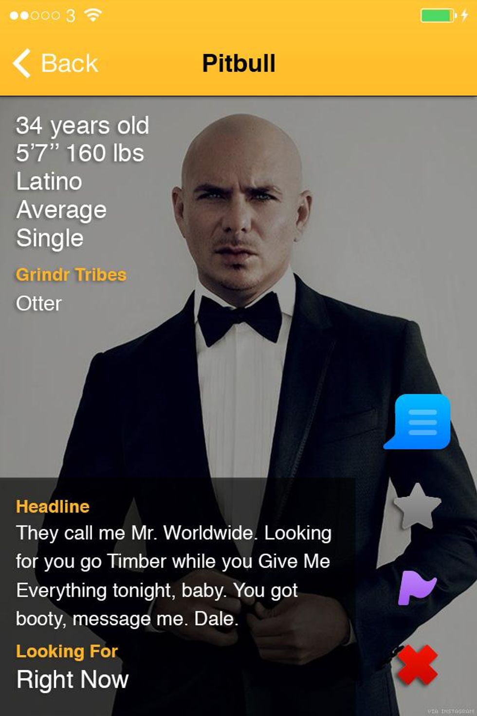 Pitbull Grindr