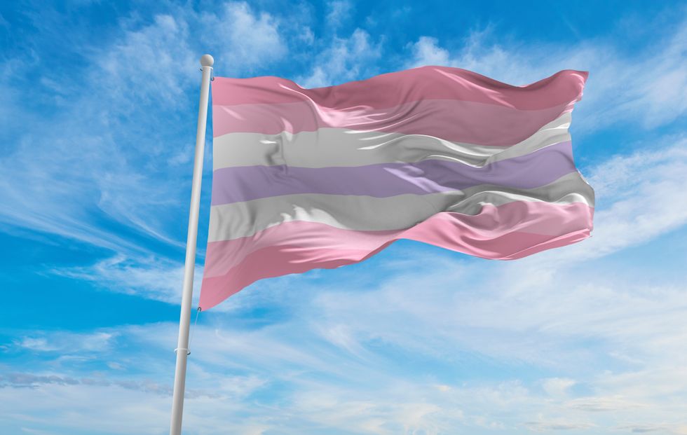 pomosexual flag