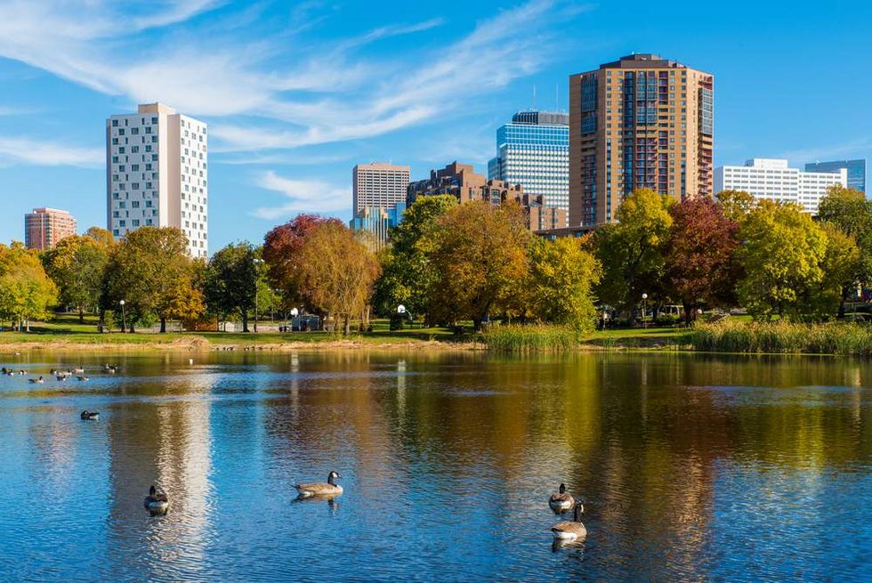 Pond with geese in Loring Park