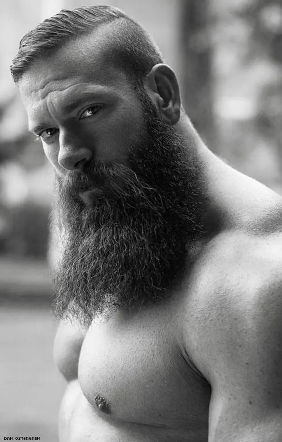 Portrait of a handsome man by \u200bDan Ostergren