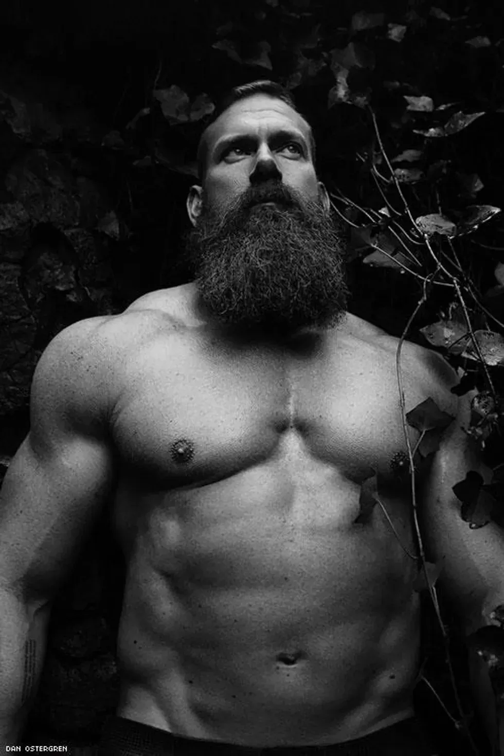 Portrait of a handsome man by \u200bDan Ostergren