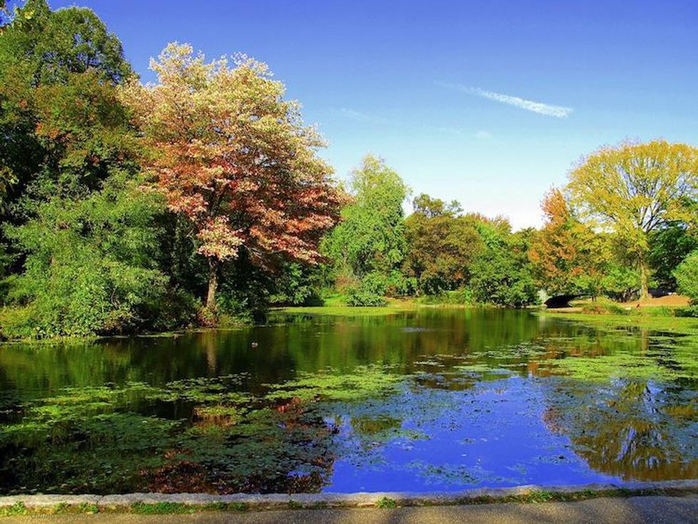 Prospect Park