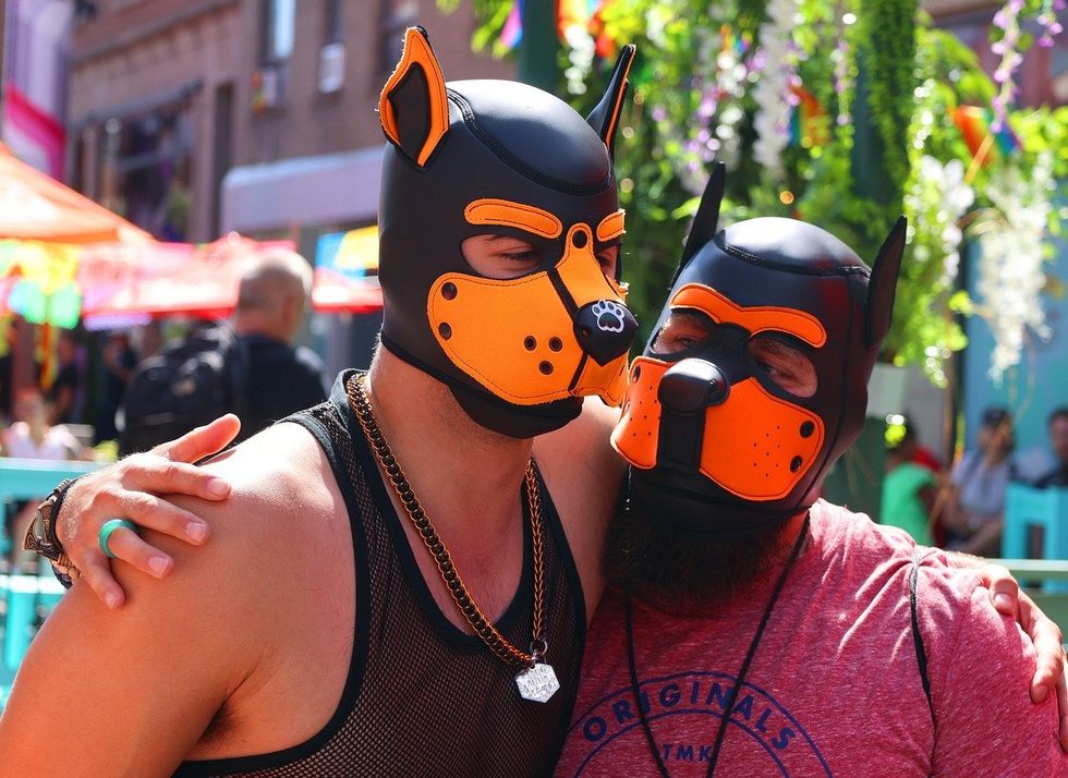 pup couple