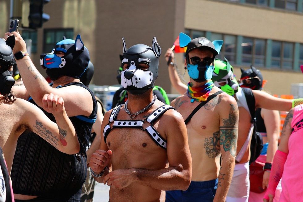 pup friends at pride