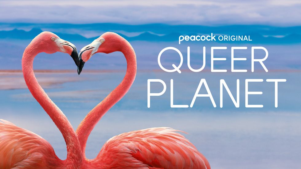 Queer planet key art