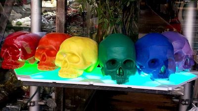 rainbow skulls