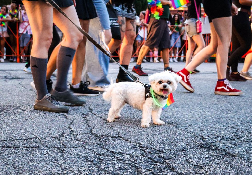 Rhode Island LGBTQIA Pridefest 2025