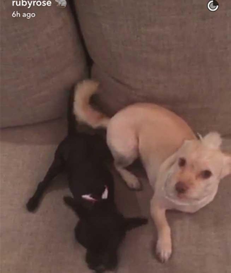 Ruby Rose -- @rubyrose