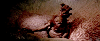 Salacious Crumb Laugh