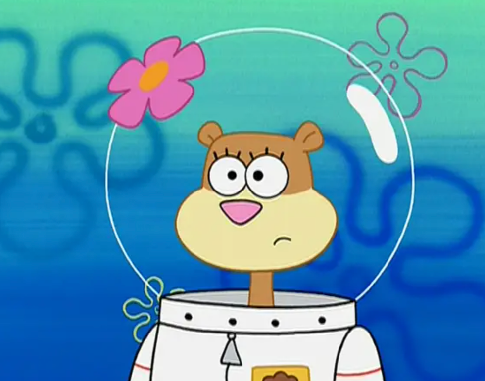 Sandy Cheeks SpongeBob Squarepants