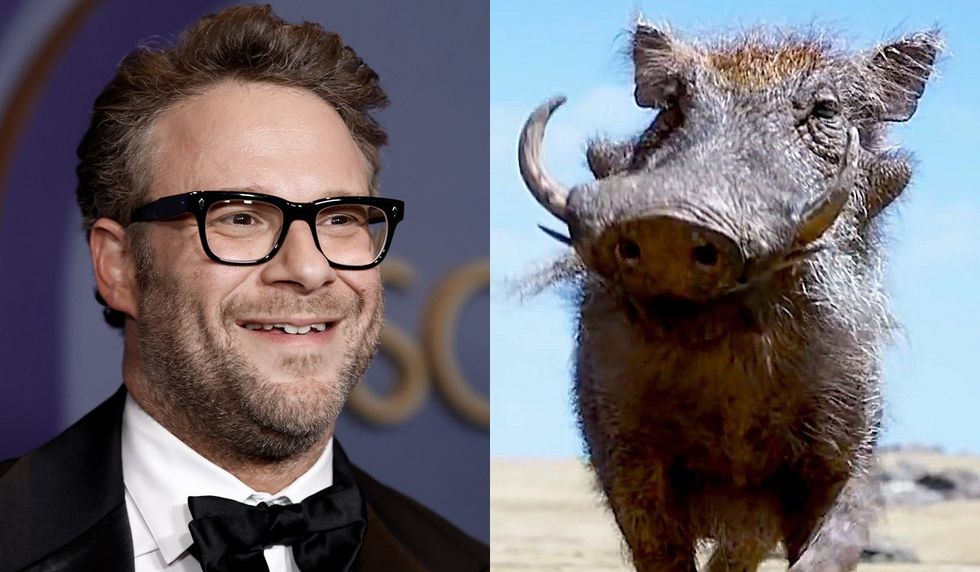 Seth Rogen as Pumbaa Frazer Harrison/Getty Images; Walt Disney Studios