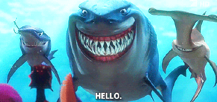 Shark Hello Gif