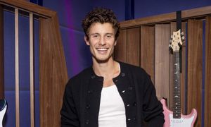 Shawn Mendes' sexy new shirtless photo sends gays into a frenzy