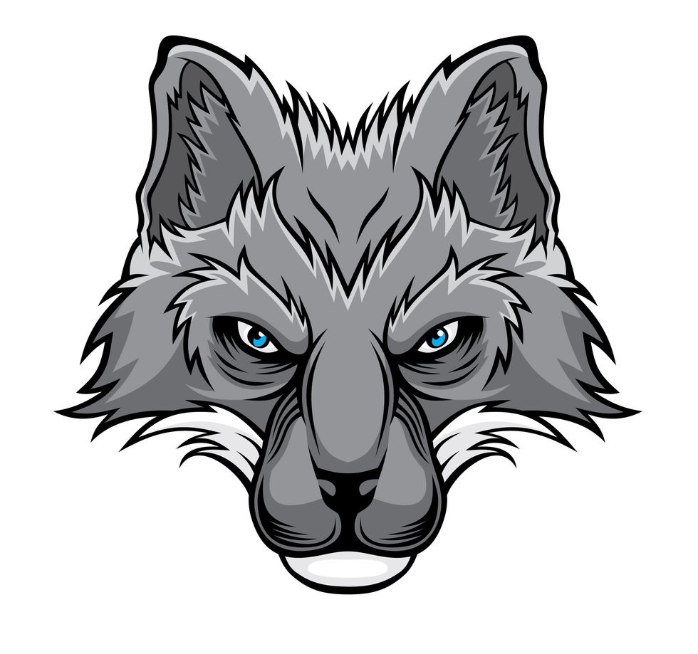 silver fox