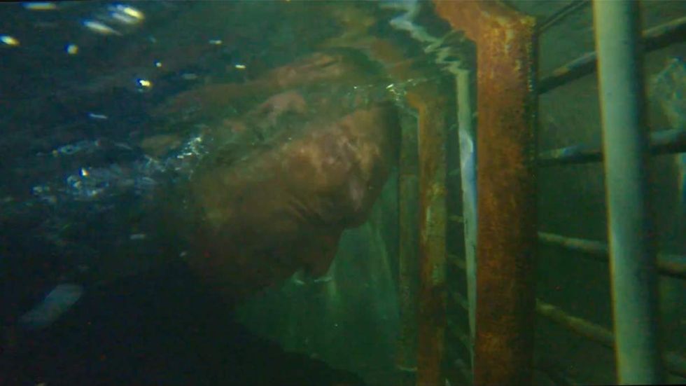 Submerged cages fright feat (Titans season 1, episode 7)