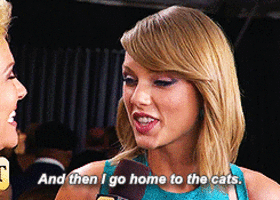 taylor swift cats