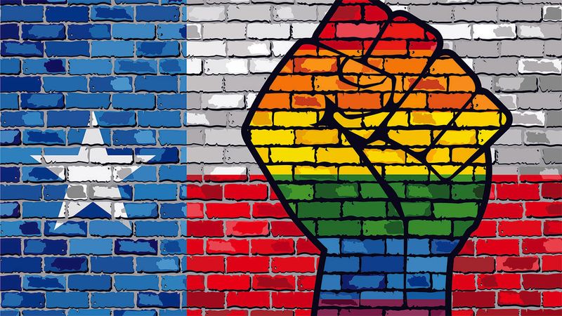 Texas state flag and rainbow fist