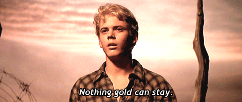 the outsiders