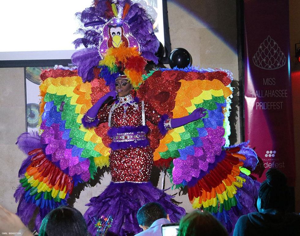 The Tallahassee Pridefest